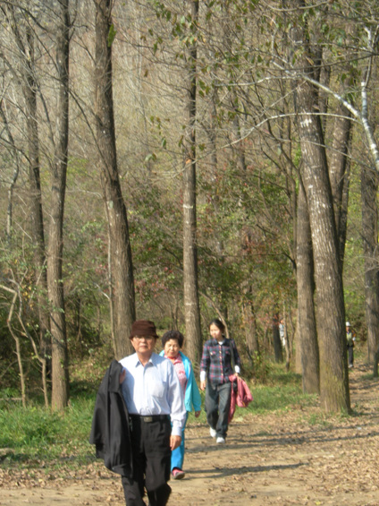 퇴계오소길 첨부사진