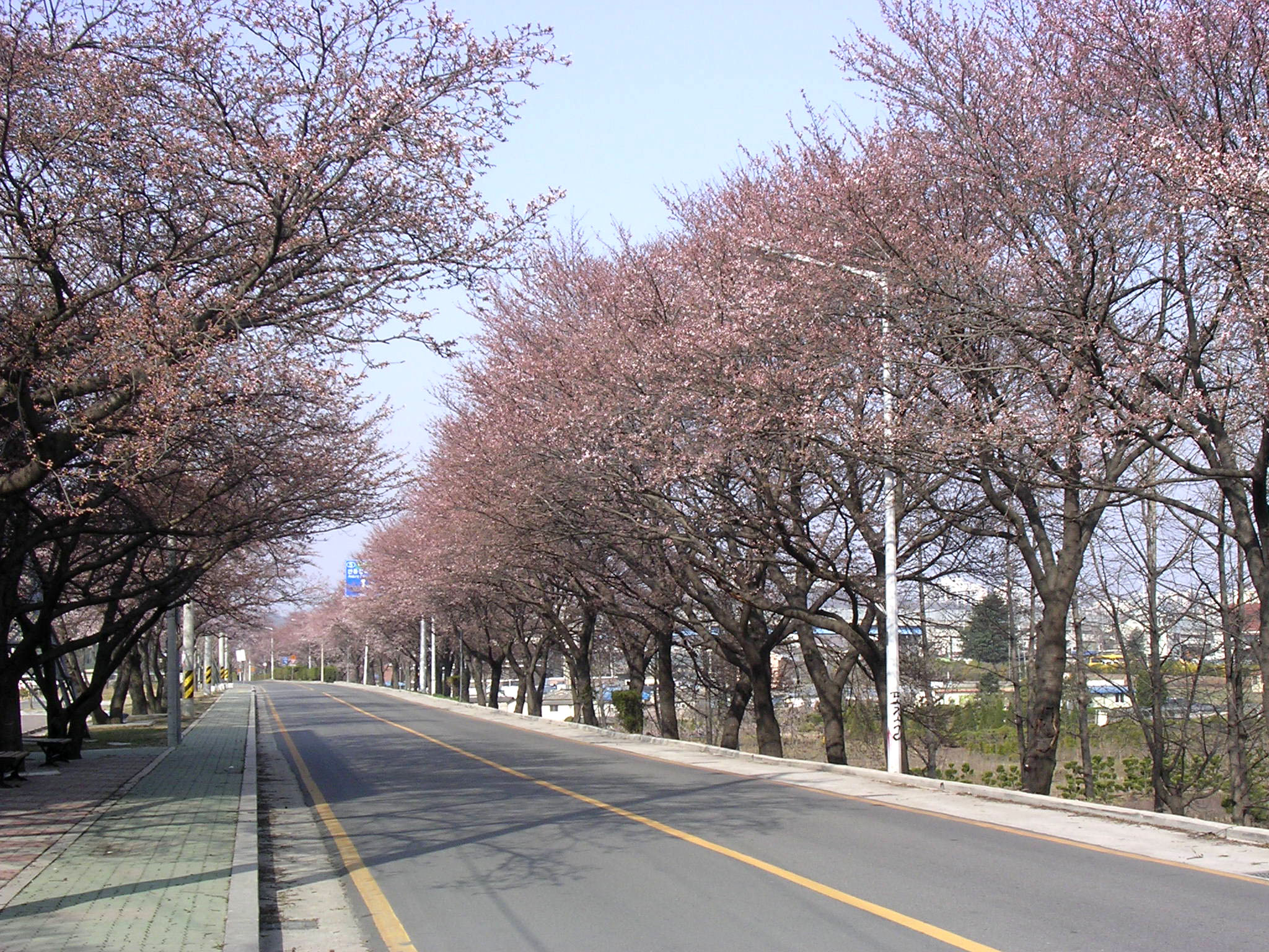 핀다핀다핀다~ 첨부사진